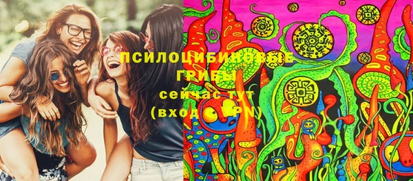 крисы Алзамай