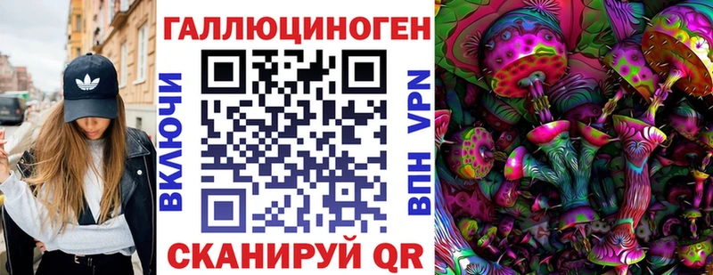 Псилоцибиновые грибы Psilocybine cubensis  Невинномысск 